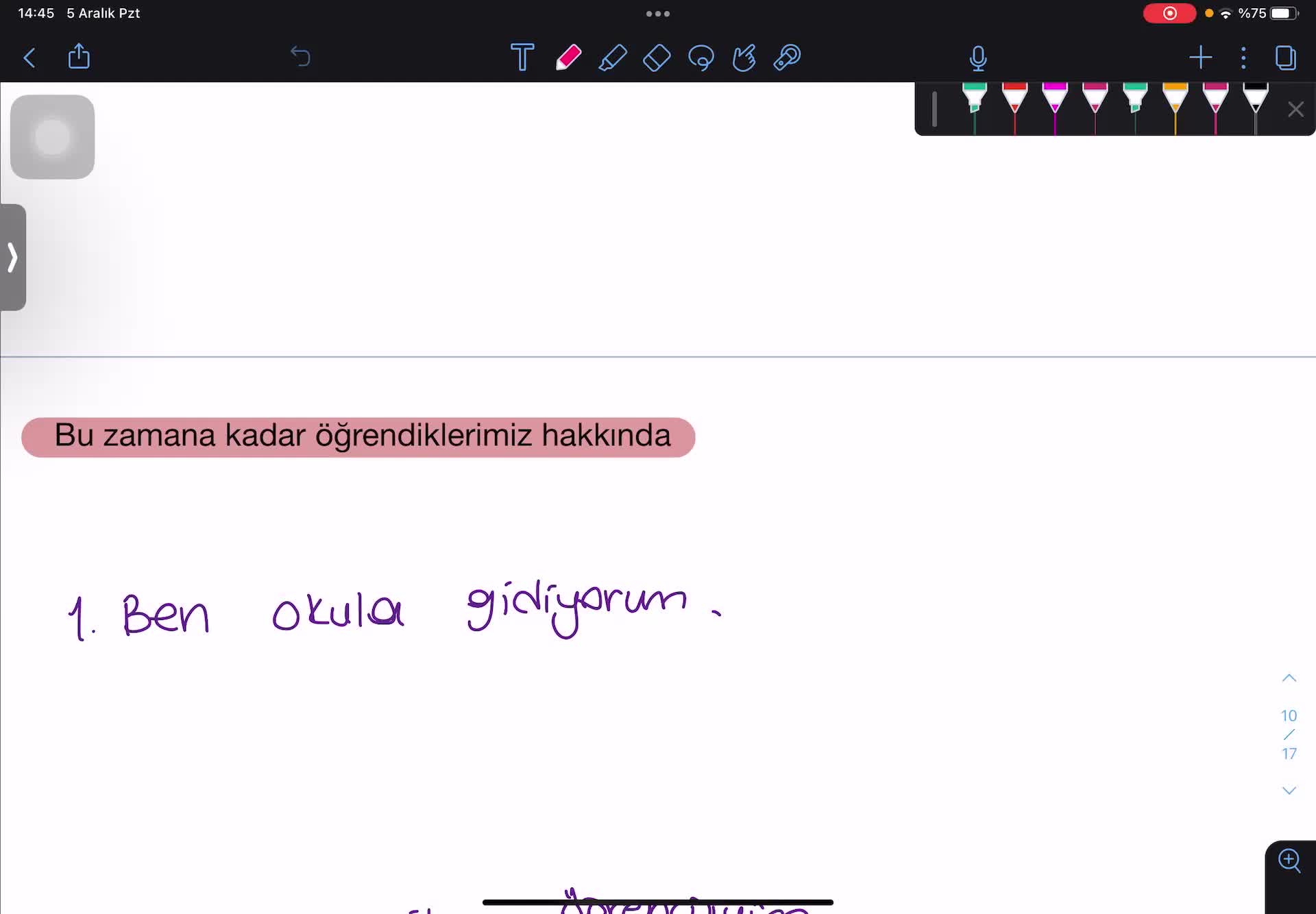 9. Tüm Gramer Konuları Karma Alıştırma