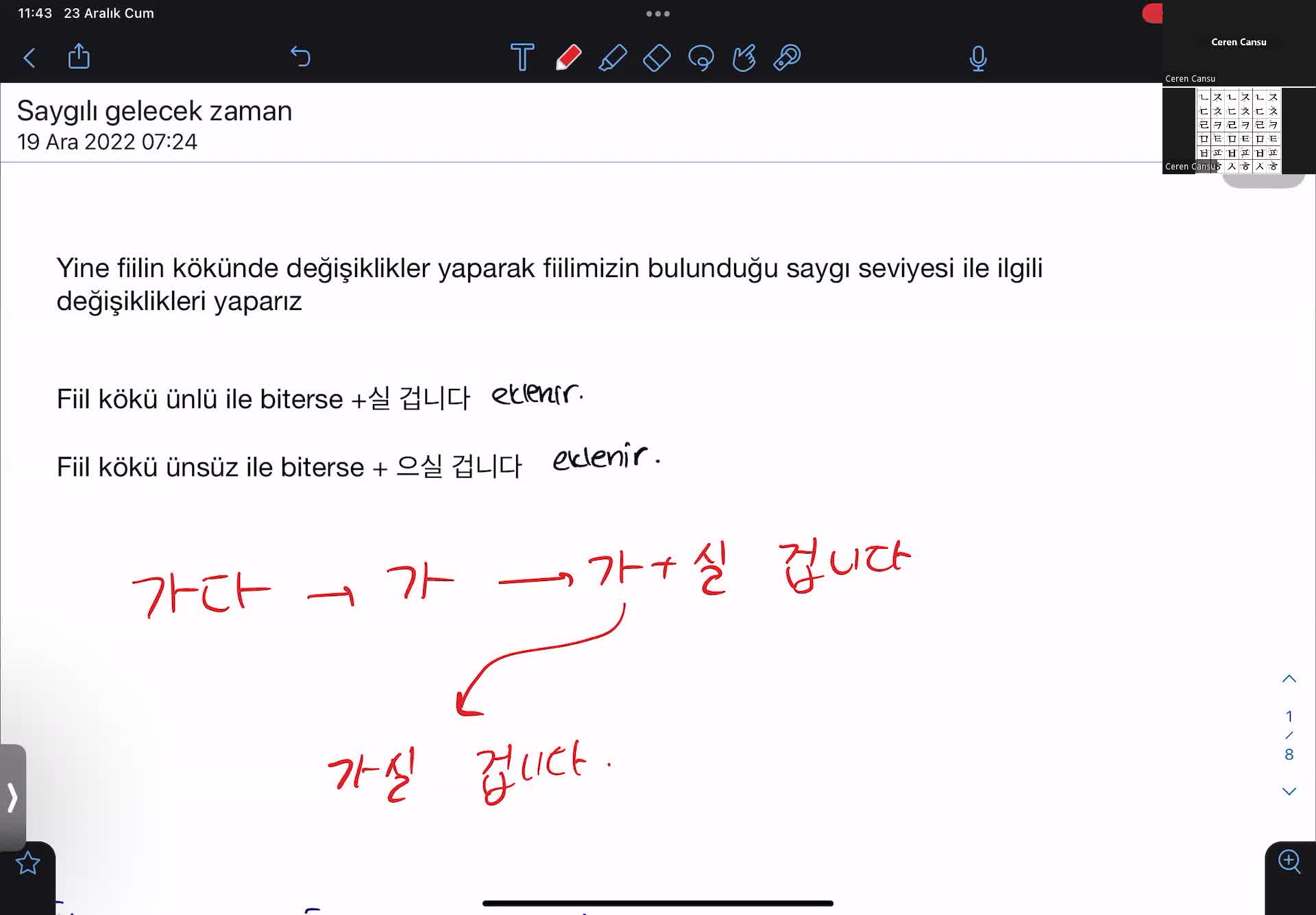 6. Saygılı Formda Gelecek Zaman